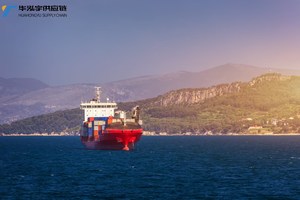Las mejores empresas de logística de envío barato, servicio de transporte marítimo puerta a puerta desde China a Reino Unido/Filipinas/India/Emiratos Árabes Unidos - Product Image 4
