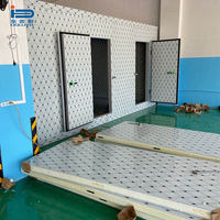 Panneaux de construction de chambre froide personnalisables en taille et couleur, moteur solaire, mousse PU robuste, surface métallique, utilisation facile, pour l'industrie alimentaire