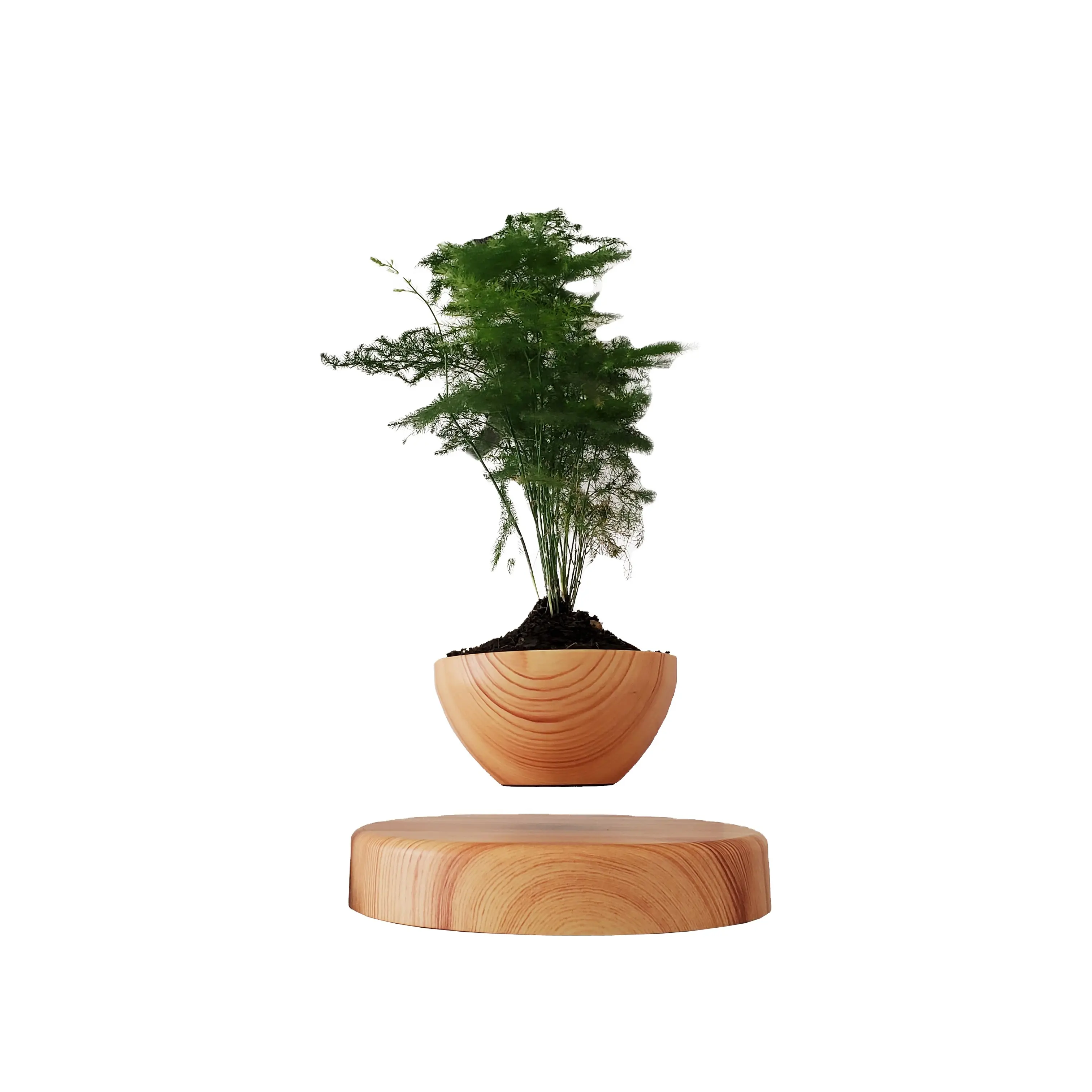 HCNT Magnetisch schwebender hölzerner Bonsai schwimmender Blumentopf Modernes und kreatives Geschenk für Neujahrs-und Geburtstags-oder Innendekoration