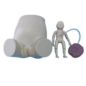 F50 Model pemeriksaan pengiriman ginekologi kehamilan maneken pelatihan keterampilan komprehensif tingkat lanjut dengan kabel umbilikal janin - Product Image 1