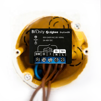 Passerelle Zigbee Bilihondim avec interrupteur intelligent à contact sec, boîtier numérique à monter, compatible Google Home et Alexa, 1 canal LED - Application