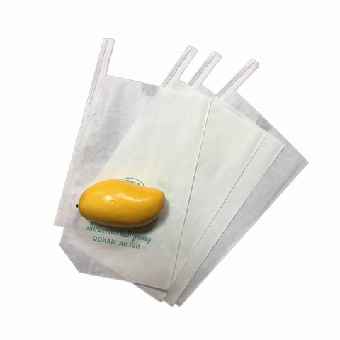Premium Double Shinning Wax Coated Mango Yellow Kraft Paper Bag For Protecting Premium Double Shinning Wax Coated Mango Yellow Kraft Paper Bag For Protecting