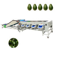 Fruitverwerkingsinstallatie machine avocado reiniging en sortering groenteverwerkings- en verpakkingslijn