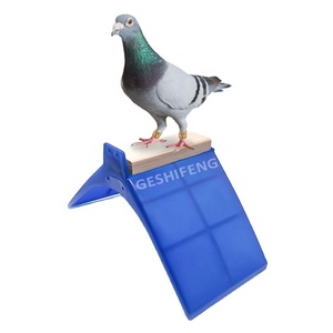 Yeni liste doğal onaylı taşınabilir levrek pet bite pençe taşlama kuş - Product Image 4