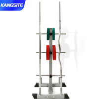 Support de rangement pour plaques de poids et barres, support pour plaques olympiques, robuste, multi-rangement pour équipement de fitness à domicile