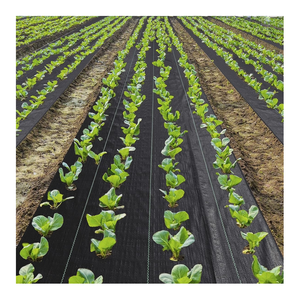 Tapis de mauvaises herbes blanc Couverture de sol agricole et de jardin rouleaux de tapis de mauvaises herbes Tissu paysager - Product Image 1