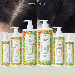 Champú para el Crecimiento del Cabello Orgánico con Logotipo Personalizado, Juego de Champú Reparador con Aceite de Árbol de Té y Jengibre, Champú para el Crecimiento del Cabello con Romero - Product Image 2