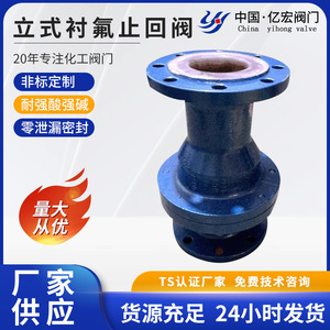 Válvula de Retención Yihong con Revestimiento de PTFE, Tipo Oscilante con Brida de Acero Fundido para Medios Corrosivos, Función de Corte - Product Image 5