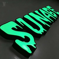 Enseigne lumineuse murale personnalisée en lettres 3D LED pour l'identité visuelle des magasins et des bureaux