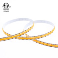 Ramates-Mini bande de lumière LED 12V 3000K 9W, OEM ODM 480LED UL ETL pour DIY DESIGN LIGHT