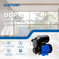 Pompe périphérique auto-amorçante DAYUAN 0,33 CV 0,25 kW 1 pouce, pompe électrique portable pour usage domestique
