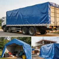 Bâche en tissu plastique HDPE PE épaisse et personnalisée, imperméable et résistante à la pluie, pour auvent de camping, agriculture et abri.