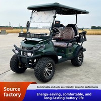 Voiturette de golf électrique 2 places tout-terrain de luxe, 30 km/h, 48 V, directement de l'usine, pour patrouille et tourisme en sites touristiques