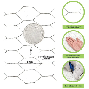 <span class=keywords><strong>Grillage</strong></span> à poules électrogalvanisé de haute qualité, fabriqué en usine au Hebei, avec une bonne résistance à la corrosion, <span class=keywords><strong>hauteur</strong></span> 1m, 1,5m, longueur 25m - Product Image 1