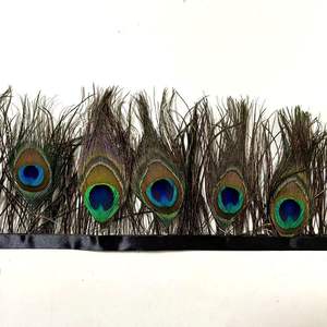 Premium Natural influenza feather occhi di pavone piuma frangia Trim piuma di fagiano rifinitura per abbigliamento decorativo - Product Image 2