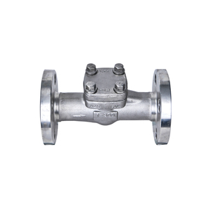 3/8 "1/2" 304 316 công nghiệp thép không gỉ tắt van <span class=keywords><strong>DN10</strong></span> để dn150 Swing mặt bích kiểm tra van - Product Image 2