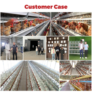 Cage à poules pondeuses de <span class=keywords><strong>type</strong></span> A, galvanisée à chaud, 3/4 niveaux, pour poules pondeuses, équipement d'élevage avicole - Product Image 6
