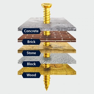 100 pezzo Multi-specifica metrica Standard in acciaio zinco-placcato vite per legno - Product Image 6
