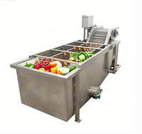 Industriële commerciële fruit- en groentewasmachine met motor en aandrijving, multifunctionele reinigingsapparatuur