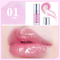 ALIVER OEM Huile à lèvres teintée Emballage personnalisé Marque privée Fournisseur de maquillage beauté