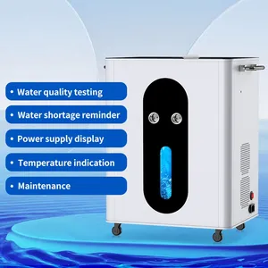 Machine d'inhalation d'hydrogène PEM SPE 3000 ml/min, membrane Dupont N117, pureté 99,995 %, générateur d'hydrogène moléculaire pour usage domestique et clinique - Product Image 4