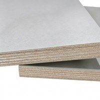Panneau de contreplaqué mélaminé en placage de bouleau écologique 9mm/25mm 4x8, étanche, design moderne pour mobilier de bureau et bâtiment