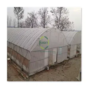 Small Garden Tunnel Small Nursery Plastic Sheet Green House With Ground Heat System For Seed Sowing