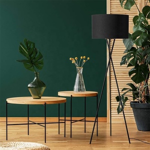 Đèn Sàn Hiện Đại Cho Căn Hộ Khách Sạn Phòng Khách Với Chao Đèn Bằng Vải Đèn Ngủ Đứng Bằng Kim Loại Trang Trí Nội Thất Cửa Hàng Trưng Bày - Product Image 5