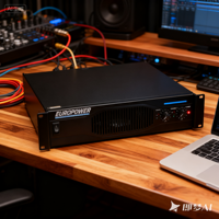 EP2000 Amplificateur de Puissance Professionnel 250W 2U PA pour Enceintes Karaoké et Système de Lecture Musicale