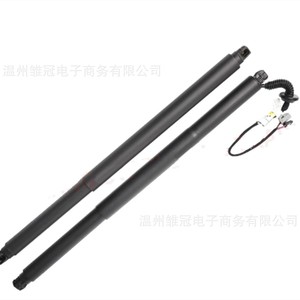 Electric <b>Tailgate</b> Support Rods 26205647 26205646 For Buick GL8 2017 2019 Steel Door <b>Struts</b> - Product Image 4