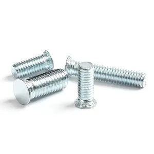 FH-M5*14 Large Quantity Discount Full Range Of Models Carbon Steel Zinc Plated Rivet Screws