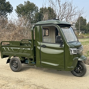 Usine 3 roues E-Loader fermé pousse-pousse <span class=keywords><strong>électrique</strong></span> <span class=keywords><strong>adulte</strong></span> passager <span class=keywords><strong>Tricycle</strong></span> personnalisé 3000W - Product Image 3