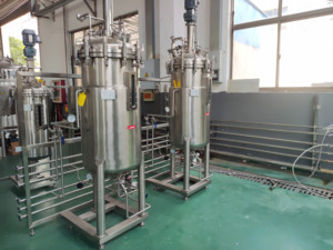 Лабораторный ферментационный биореактор, промышленный биореактор, 50 л, 100 л, 200 л - Product Image 4