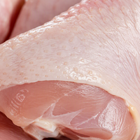 Cuisses de poulet surgelées de qualité export, en vrac, IQF, jambes de volaille crues pour cuisines industrielles et distribution en gros