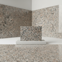 DCT Promotion : Dalles de granit polies de Chine, grand format, structure solide non poreuse, design moderne et écologique pour pavage extérieur