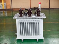 Transformateur de puissance industriel immergé dans l'huile à haute capacité Electric Rhino 30-1600 kVA avec 6/10/35 kV