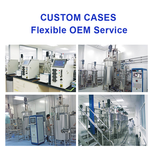 Lò Phản Ứng Sinh Học Quy Mô Phòng Thí Nghiệm Thủy Tinh Nhỏ Lò Phản Ứng Sinh Học Lên Men 1L 2L 3L 5L 7L 10L Lò Phản Ứng Sinh Học Hàng Đầu - Product Image 2