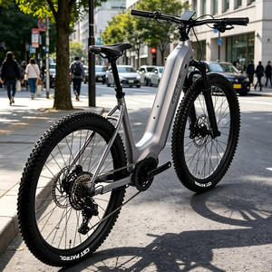 Venta al por Mayor de Motor Central EC2 de 12 Velocidades, Batería de Litio de 12S y 500W, <span class=keywords><strong>ROCKSHOX</strong></span> EMTB, Precio de Fábrica - Product Image 1