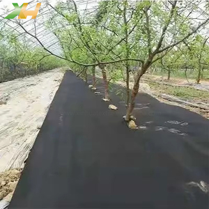 Film <span class=keywords><strong>de</strong></span> <span class=keywords><strong>paillage</strong></span> agricole en tissu non tissé filé-lié, couverture anti-gel, <span class=keywords><strong>toile</strong></span> <span class=keywords><strong>de</strong></span> jardinage - Product Image 1