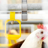 Système d'abreuvement avicole YYC en acier inoxydable, abreuvoirs automatiques pour poulets de chair