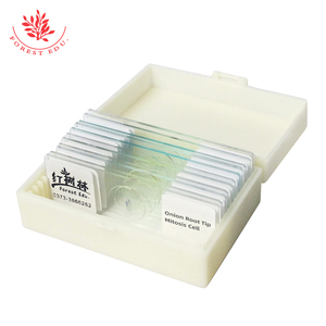 Diapositivas de <span class=keywords><strong>Microscopio</strong></span> Preparadas con Muestra de <span class=keywords><strong>Mitosis</strong></span> de Células de la Punta de la Raíz de Cebolla, que Muestran Claramente Todas las Etapas, para Genética Vegetal y Biología - Product Image 5