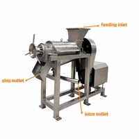 Grande promotion : Extracteur de jus à vis, presse-fruits spirale, machine à pulper les fruits