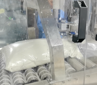Machine de remplissage entièrement automatique Bag-in-Box pour lait, jus, sirop, vin, huile, eau pure 5L-25L BIB