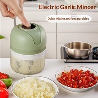 Elektrische multifunctionele plastic knoflookpers, babyvoedselprocessor, draadloze mini-muddler, fruit- en groentegereedschap