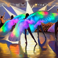 Ailes de plumes lumineuses à LED pour adultes, vêtements de scène pour ange et fée, accessoires de costume de scène arc-en-ciel