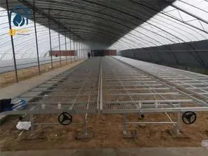 Greenhouse planta berçário equipamento de crescimento móvel, mesa de mudas, bancos de rolamento