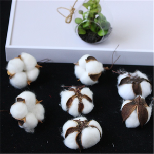Fiori Secchi CAWELL per Decorazione Casa, Fiori Artificiali di Cotone Essiccato - Product Image 5