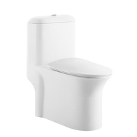 Medyag MLZ-1108 WC monobloc moderne en céramique et porcelaine