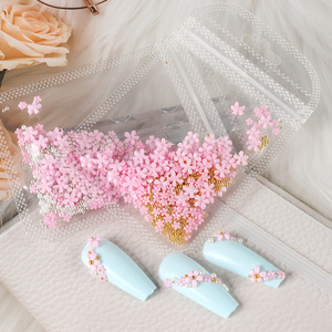 Adornos de <span class=keywords><strong>uñas</strong></span> de diseño 3d, Mini <span class=keywords><strong>flores</strong></span> acrílicas de resina decoradas, <span class=keywords><strong>flores</strong></span> <span class=keywords><strong>secas</strong></span> para <span class=keywords><strong>uñas</strong></span> - Product Image 3
