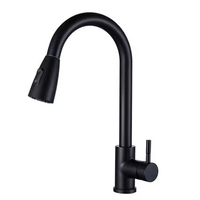 Robinets de cuisine modernes en acier inoxydable avec douchette extractible et mitigeur d'évier avec robinet d'eau